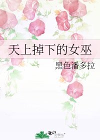 天上掉下的女巫