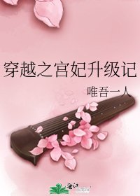 穿越之宫妃升级记