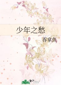 《少年之愁》