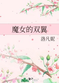 《魔女的双翼》