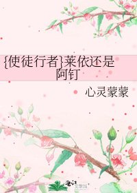{使徒行者}莱依还是阿钉