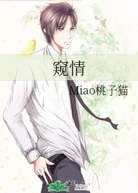 窥情