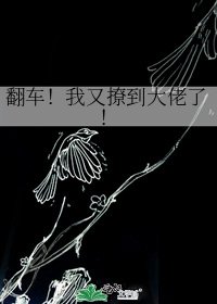 翻车！我又撩到大佬了！