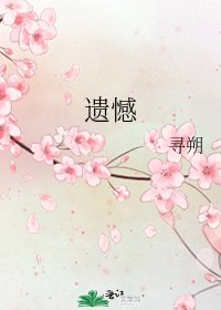 遗憾