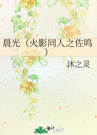 晨光（火影同人之佐鸣）