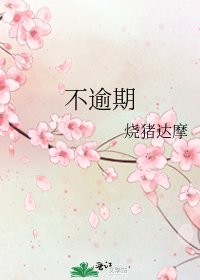 《不逾期》