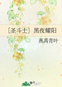 ［圣斗士］黑夜耀阳