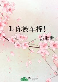 《叫你被车撞!》
