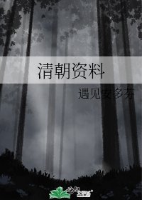 清朝资料