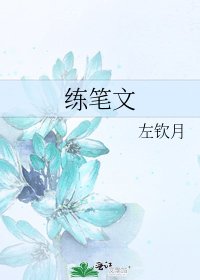 练笔文