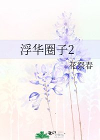 浮华圈子2