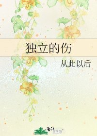 《独立的伤》
