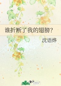 谁折断了我的翅膀？