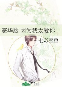 豪華版 因為我太愛你