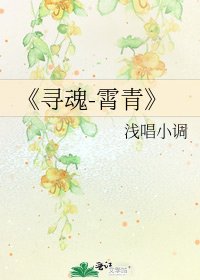 寻魂-霄青