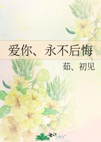 爱你、永不后悔