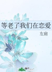 等老了我们在恋爱