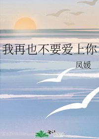 《我再也不要爱上你》