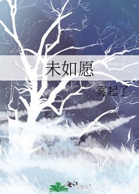 《未如愿》