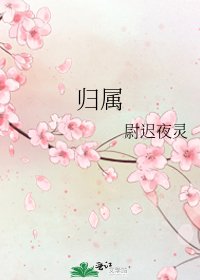 归属