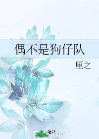 偶不是狗仔队