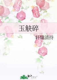 玉觖碎