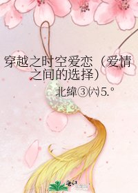 《穿越之时空爱恋(爱情之间的选择)》