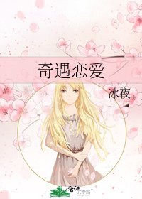 奇遇恋爱