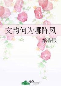 文韵何为哪阵风