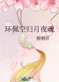 环佩空归月夜魂