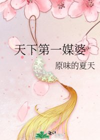 天下第一媒婆