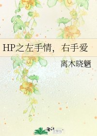 HP之左手情，右手爱