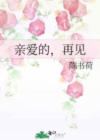 《亲爱的,再见》