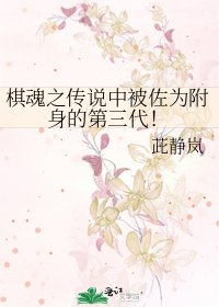 棋魂之传说中被佐为附身的第三代！