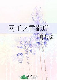 网王之雪影珊