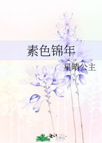 素色锦年