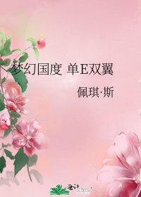 夢幻國度 單E雙翼