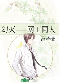 幻灭——网王同人
