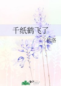 千纸鹤飞了