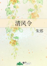 清风令
