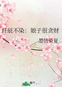 《纤辰不染:娘子很贪财》