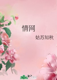 情网