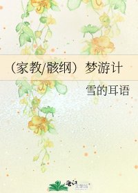 《(家教/骸纲)梦游计》