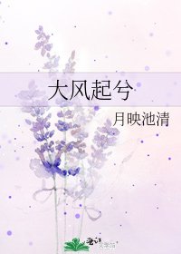 大风起兮