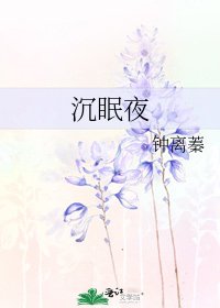 《沉眠夜》