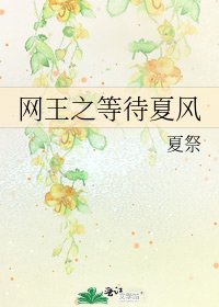 网王之等待夏风