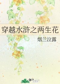 《穿越水浒之两生花》