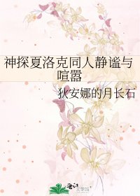神探夏洛克同人静谧与喧嚣