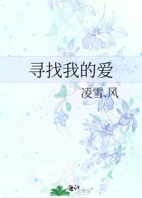 寻找我的爱