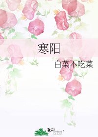寒阳